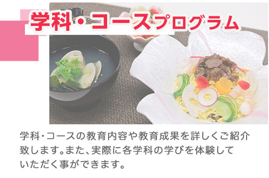 学部・学科プログラム。体験授業・実習、ワークショップ、教員や在学生との相談コーナーもあります。